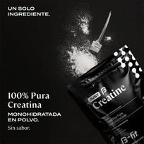 B-Fit Creatina Monohidratada 450g