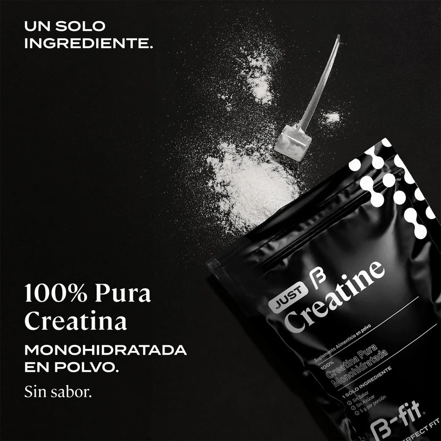 B-Fit Creatina Monohidratada 450g