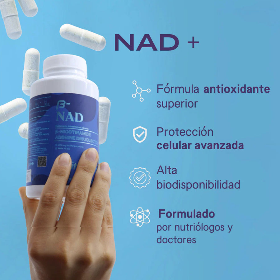 B-Fit NAD Nicotinamide Adenine Dinucleotide 90 Caps