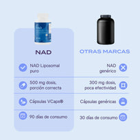 B-Fit NAD Nicotinamide Adenine Dinucleotide 90 Caps
