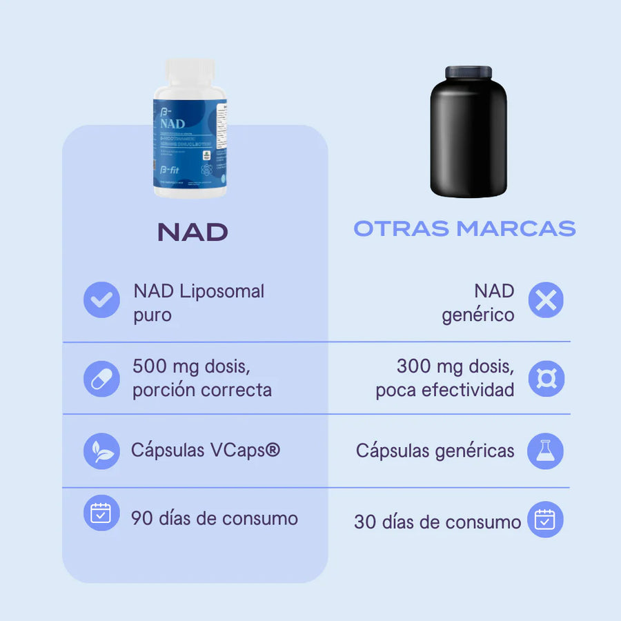 B-Fit NAD Nicotinamide Adenine Dinucleotide 90 Caps