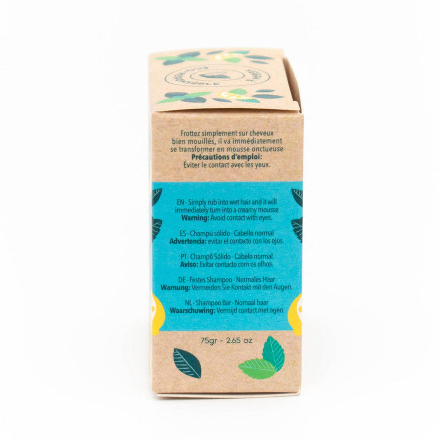 BeauTerra Shampo Bar Oily Hair 75g-Haut Boutique